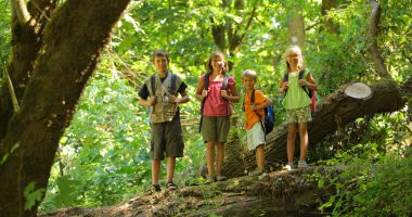 Spiele mit Kindern im Wald