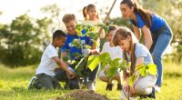 Gartenarbeit - auch für Kinder eine Bereicherung